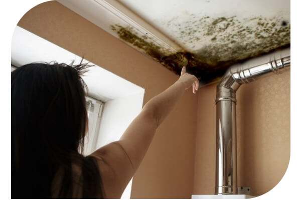 mould removal services mackay
